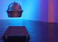 556907_10151307430612452_449049424_n